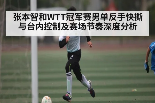 张本智和WTT冠军赛男单反手快撕与台内控制及赛场节奏深度分析 - Xingkong
